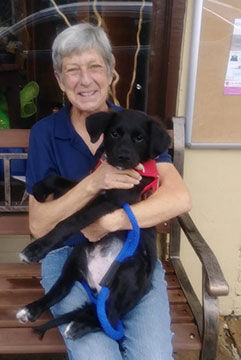 How Purrrfect Bark Became a Small Town Titan